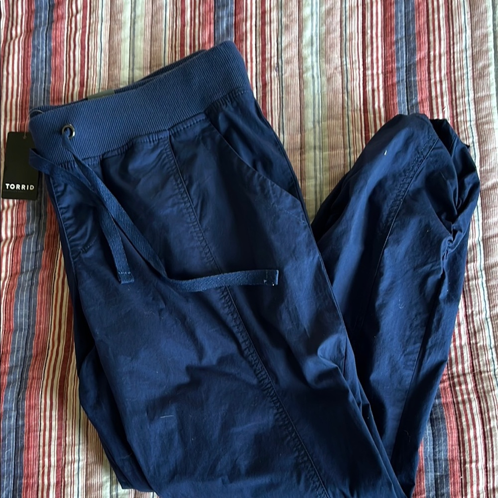 Torrid Women’s Blue Pants, size 00, M/L, 10